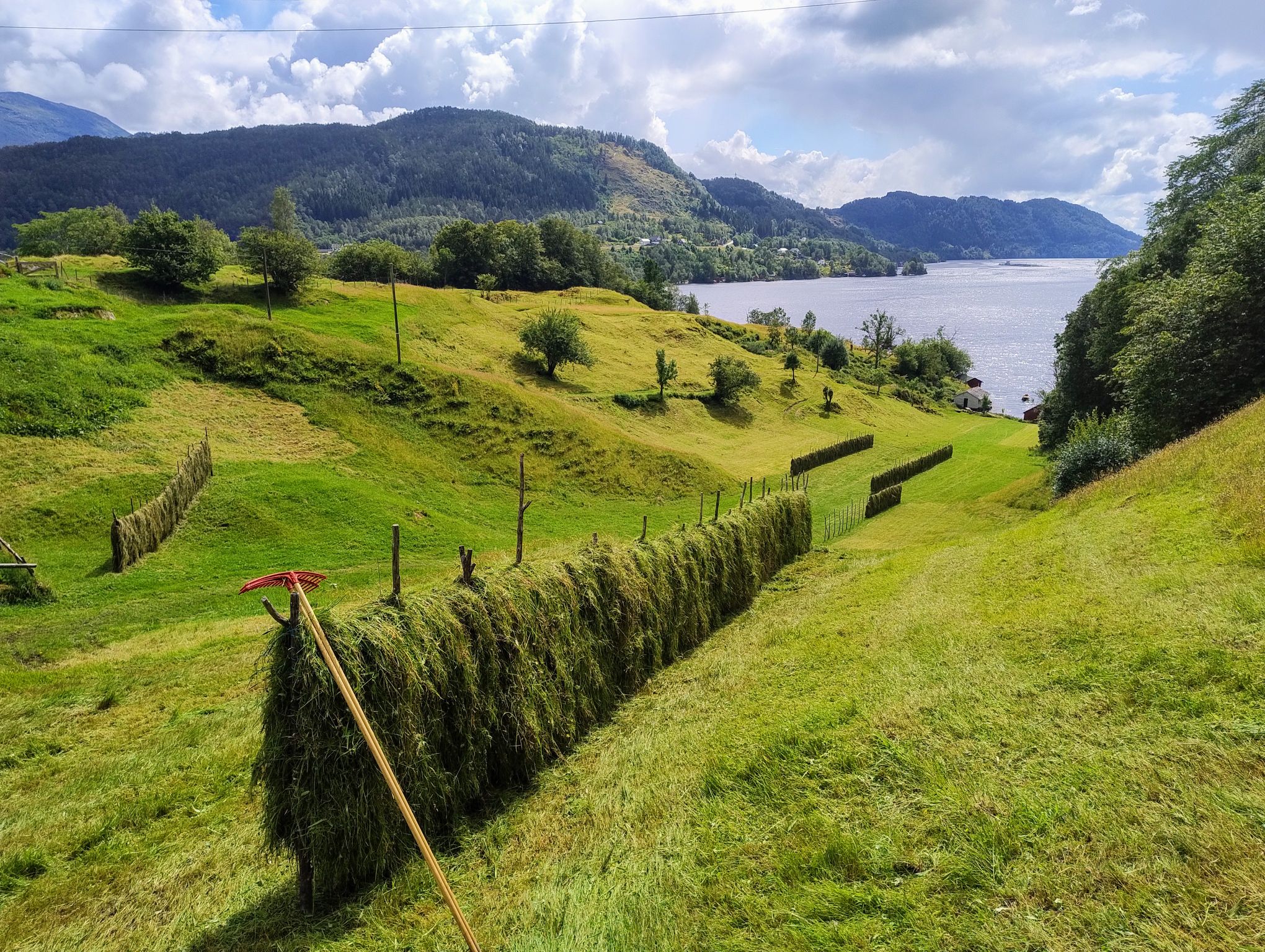 Den store landbruksdebatten: Er matberedskapen i Vestland god nok?